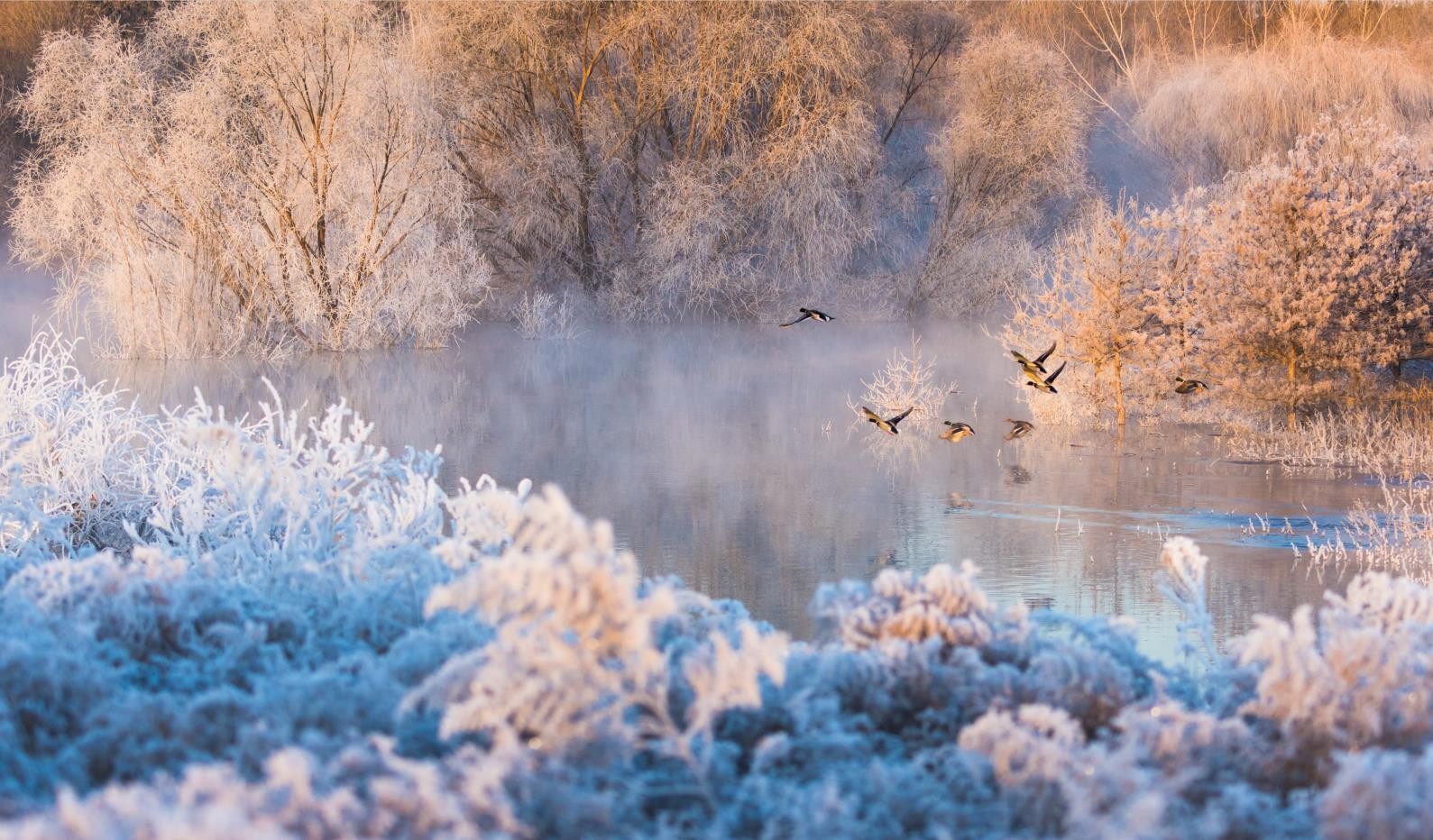 BG��Ѷ������ڡ�ؾ�
